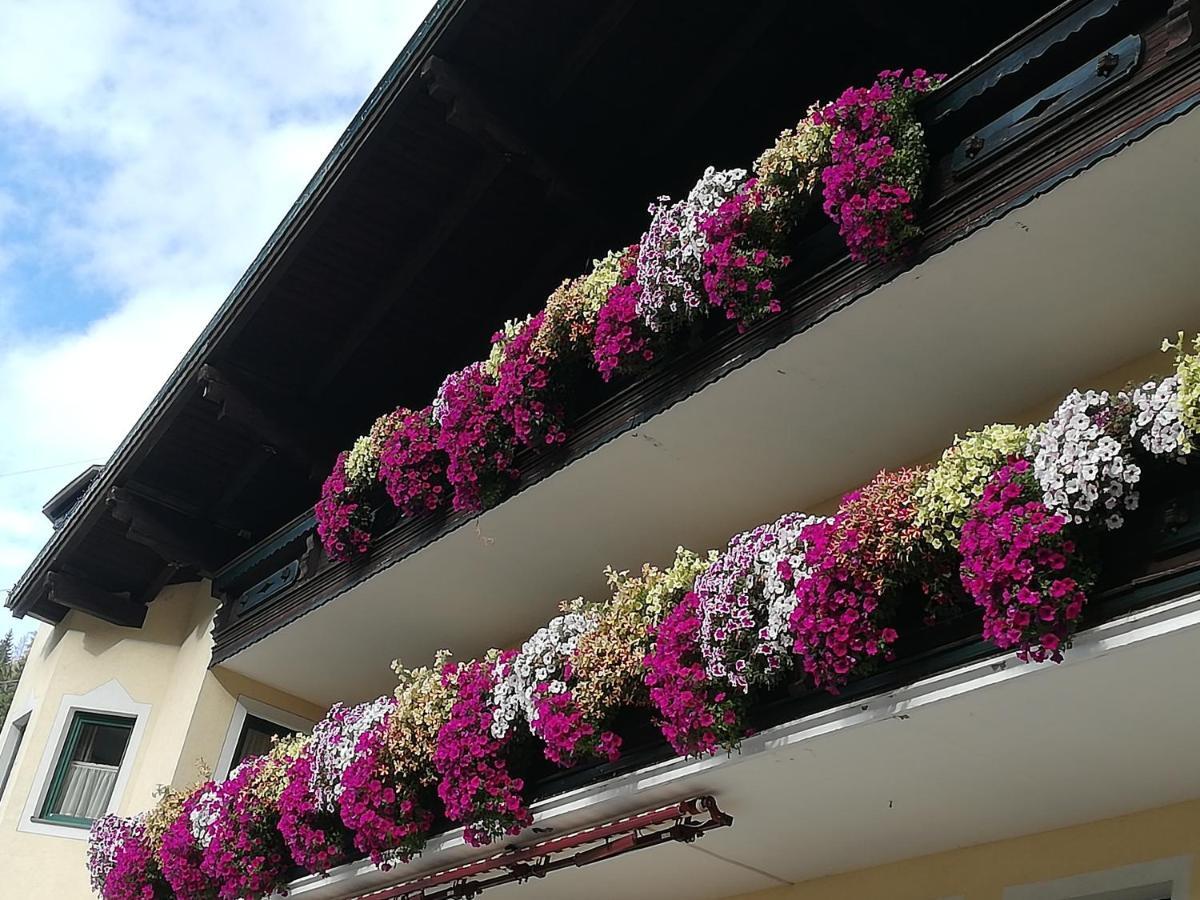 Pichlgut Apartment Radstadt Ngoại thất bức ảnh
